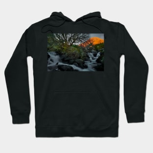 LATE LIGHT TRYFAN Hoodie